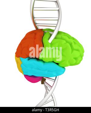 Digital image of brain with DNA helix and graph against hexagons in ...