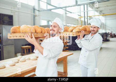 Two bakers men carry trays with bread at the bakery. Stock Photo