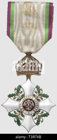 Ordre du Mérite National, créé en 1891, réorganisé en 1900 et 1936. Officier, éclats en surface sur 2 pointes, Additional-Rights-Clearance-Info-Not-Available Stock Photo