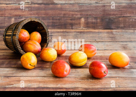 Whole British Victoria plums in a rustic wooden plant pot on dark brown wood panel background with copy space. Stock Photo