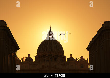 Silhouette of St. Peter’s Basilica in Vatican Rome Italy with flying seagulls at sunset Stock Photo