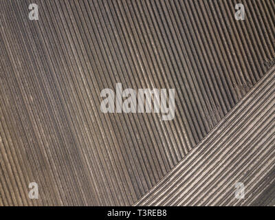 Aerial of ploughed and sown potatoe field in agricultural landscape in the Netherlands Stock Photo