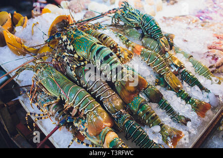 Fresh lobsters on ice for sale at restaurant. Selective focus on the dark lobster. Stock Photo