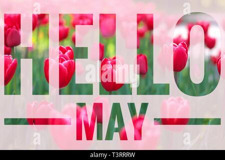 Banner hello may. Welcome picture. New month. Warm month. the month of ...