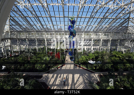 Temperate House Persians hang from the ceiling as part of contemporary glass artist Dale Chihuly's newest work, Chihuly at Kew: Reflections on nature exhibition, at Kew Gardens, Surrey. Stock Photo