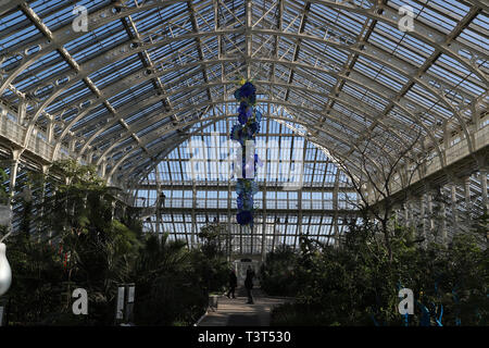 Temperate House Persians hang from the ceiling as part of contemporary glass artist Dale Chihuly's newest work, Chihuly at Kew: Reflections on nature exhibition, at Kew Gardens, Surrey. Stock Photo