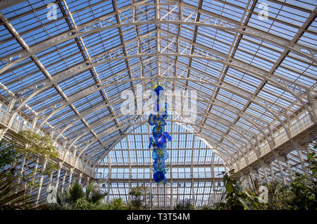 Temperate House Persians hang from the ceiling as part of contemporary glass artist Dale Chihuly's newest work, Chihuly at Kew: Reflections on nature exhibition, at Kew Gardens, Surrey. Stock Photo