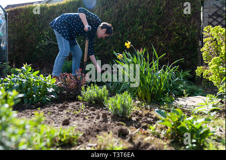 Woman digging in the garden on a sunny day Stock Photo