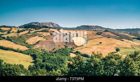 Cultivated land in the northen side of the Florence Province in summertime. Italy. Stock Photo