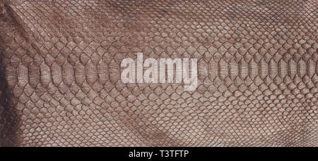 Snake skin, can use as background pattern leather. Stock Photo