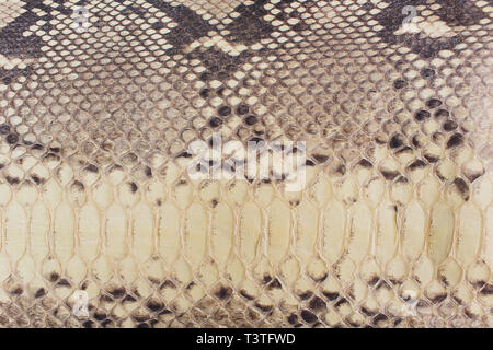 Snake skin, can use as background pattern leather. Stock Photo