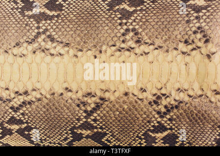 Snake skin, can use as background pattern leather. Stock Photo