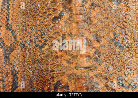 Snake skin, can use as background pattern leather. Stock Photo