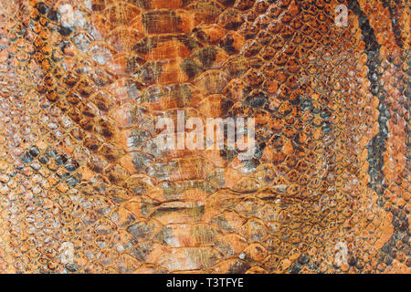 Snake skin, can use as background pattern leather. Stock Photo