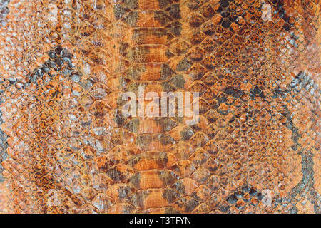Snake skin, can use as background pattern leather. Stock Photo