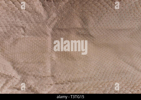 Snake skin, can use as background pattern leather. Stock Photo