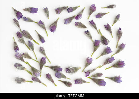 Flowers composition. Wreath made of various colorful flowers on white background. Easter, spring, summer concept. Flat lay, top view, copy space Stock Photo