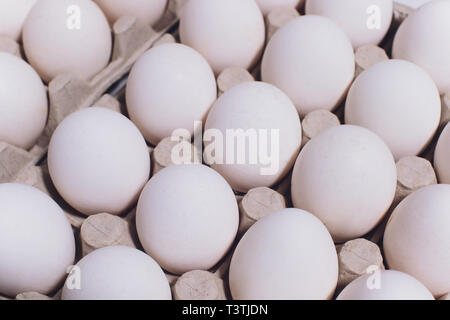 White eggs of a hen in harmless, cardboard packing on a white background. Stock Photo