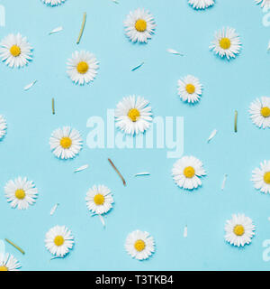 Pattern made of chamomiles, petals, leaves on pastel blue background. Spring, summer concept. Flat lay, top view, copy space Stock Photo