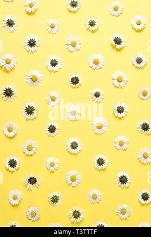 Flowers composition. Pattern made of chamomiles, petals on pastel yellow background. Spring, summer concept. Flat lay, top view, copy space Stock Photo