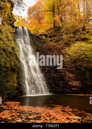 Image taken in the North York Moors National Park Stock Photo