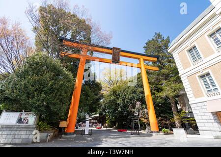 Torii Gate, Hikawa Shrine, Kawagoe City, Saitama Prefecture, Japan Stock Photo