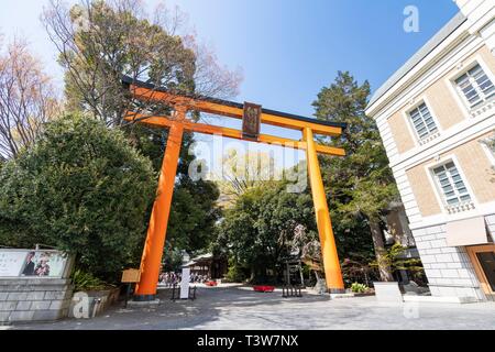 Torii Gate, Hikawa Shrine, Kawagoe City, Saitama Prefecture, Japan Stock Photo