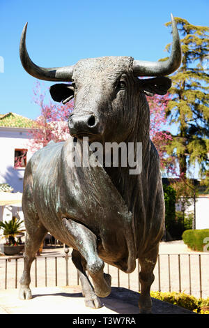 Ronda, Andalucia, Spain - March 16, 2019 : bronze statue of a fighting bull situated outside the historic bullring in Ronda, Spain Stock Photo