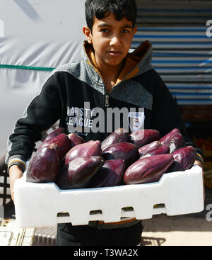 A Jordanian boy holding a crate of eggplants in a small shop on the Al-Karak Hwy. Stock Photo