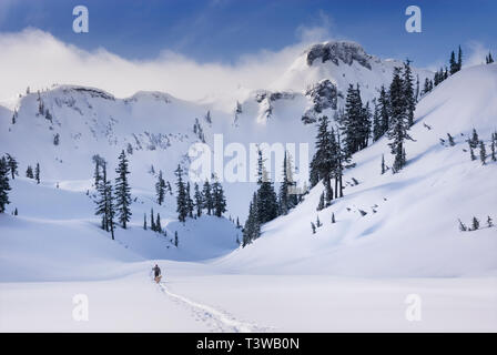Snowy mountains overlooking Heather Meadows, Washington, United States Stock Photo