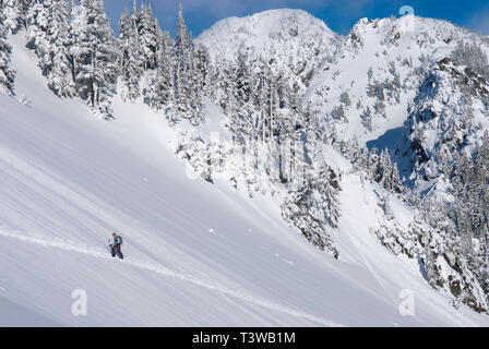 Snowshoer walking up snowy hillside Stock Photo