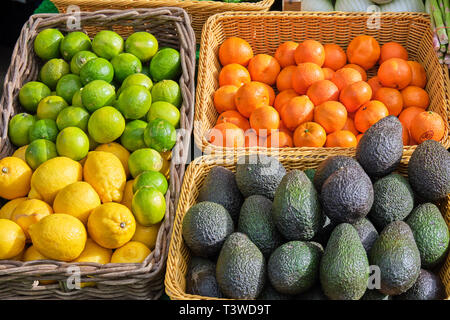 Avocados, lemons, limes and tangerines for sale at a market Stock Photo
