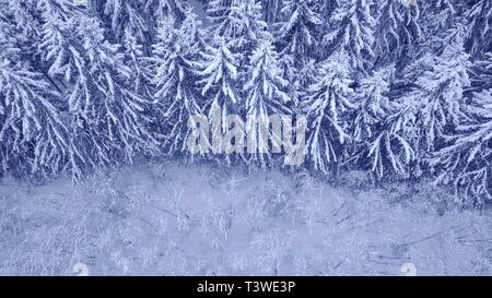 Aerial view of a deciduous forest covered with snow Stock Photo - Alamy