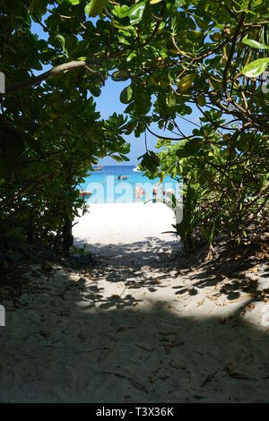 Similan, Thailand. 08th Mar, 2019. Through a bush you can see the beach of the 'Ao Kuerk' bay of the island Ko Similan. Ko Similan is the name-giving island of a total of nine islands in the Andaman Sea. The uninhabited islands together with two other islands form the Mu Ko Similan National Park. Credit: Alexandra Schuler/dpa/Alamy Live News Stock Photo