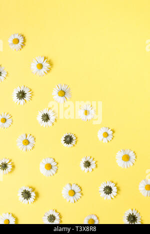 Frame made of chamomiles, petals on pastel yellow background. Spring, summer concept. Flat lay, top view, copy space Stock Photo