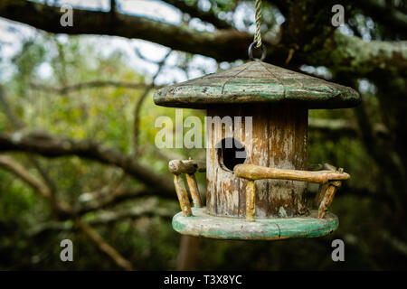A charming birds' house, hanging from a tree in New Zealand Stock Photo