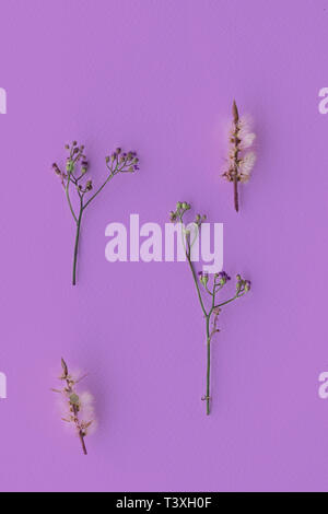 wild small violet white or purple flower in spring season background for valentine greeting paper card background Stock Photo