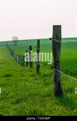 wire fence between wooden fence posts on between two lush green meadows Stock Photo