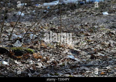 Garbage in the spring forest. The problem of ecology and pollution of nature