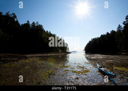 Boat mooring in murky water, Gulf Islands, British Columbia, Canada Stock Photo