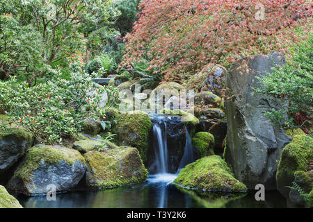 Waterfall and still pool, Portland, Oregon, United States Stock Photo