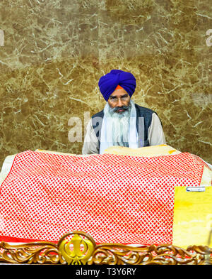 Middle aged devotee Sikh man with a long flowing white beard wearing a blue turban and glasses, Golden Temple of Amritsar, Amritsar, Punjab, India Stock Photo