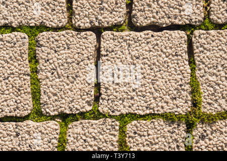 Urban road surface texture background. Alternative of asphalt. Road covering. Cobblestone with grass on joints. Cobblestone background. Stock Photo