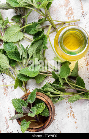 Essential aroma oil with melissa on wooden background.Melissa plant.Lemon balm Stock Photo