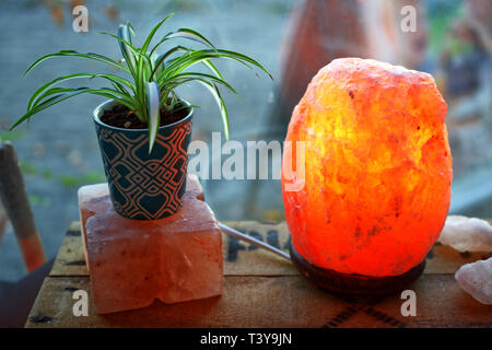 Plant and a saltlamp on a wooden box infront of a window closeup macro Stock Photo