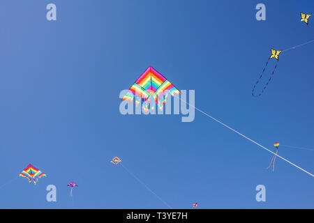 A multicolored kite flying against a blue sky on a beach side Stock Photo