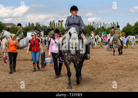 Female entrant in equine class dressed in riding gear & hat astride grey horse pony (competitors in practice ring) - Great Yorkshire Show, England, UK Stock Photo