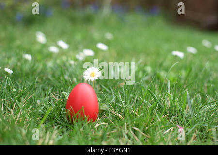 Easter hunt - one red Easter hen egg in a grass Stock Photo