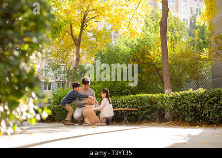 Happy young family playing with dog Stock Photo