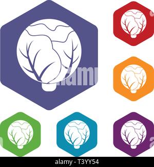 Cabbage icons vector hexahedron Stock Vector